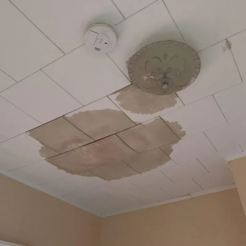Ceiling Water Damage Repair in Centerburg, OH