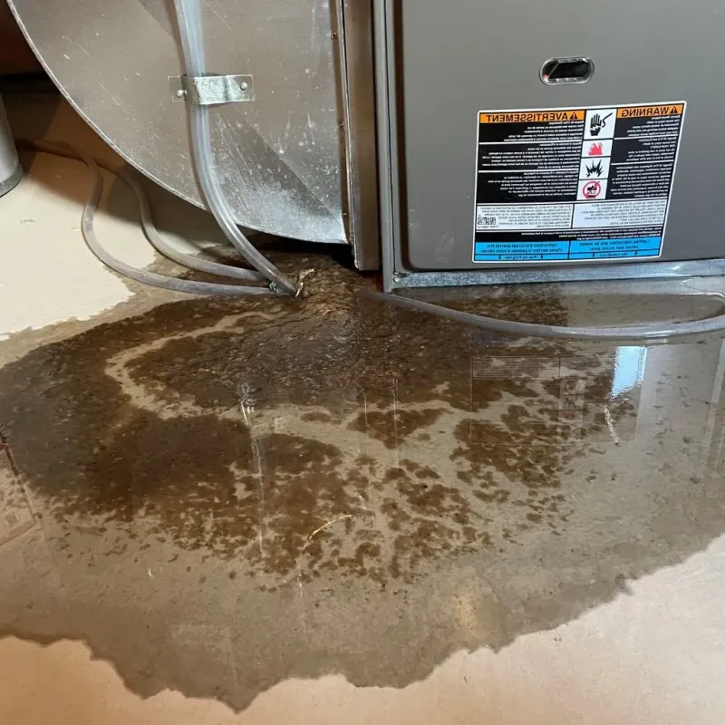 Pipe Burst and Leak Restoration in Centerburg, OH
