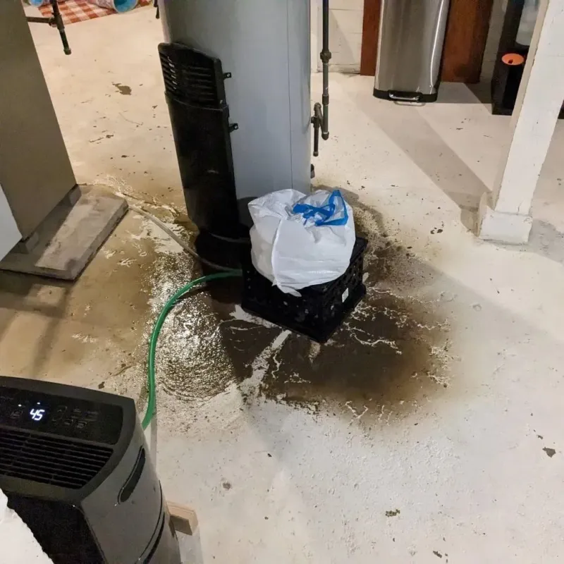 Sewage Backup Cleanup Service in Centerburg, OH